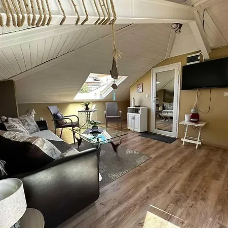 Damaris 3* 소조폴