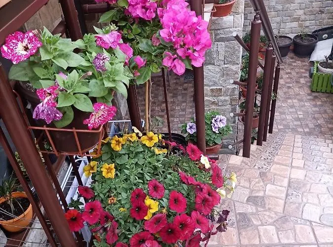 Damaris Къща за гости